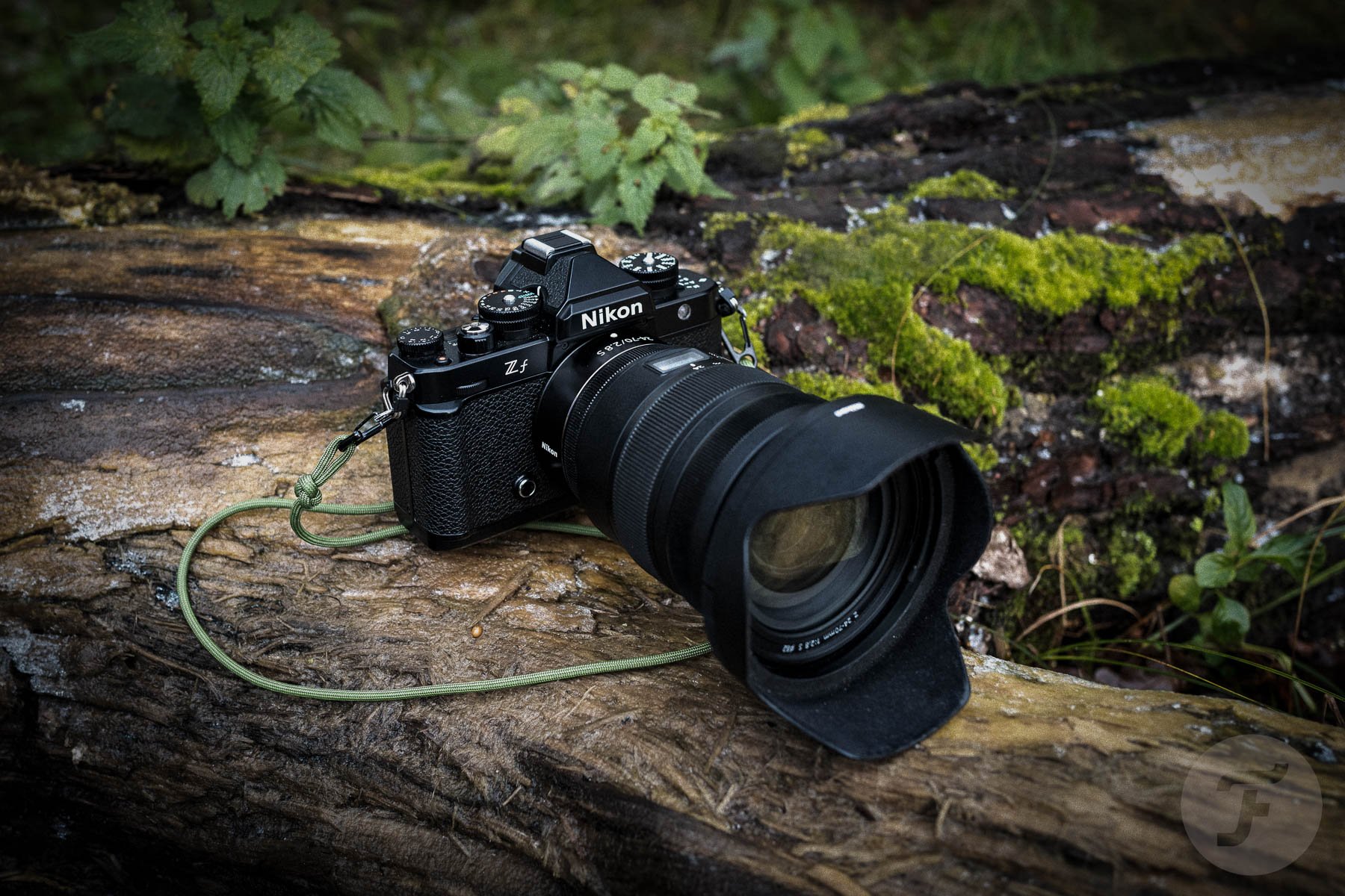 Nikon Zf review – a retro delight