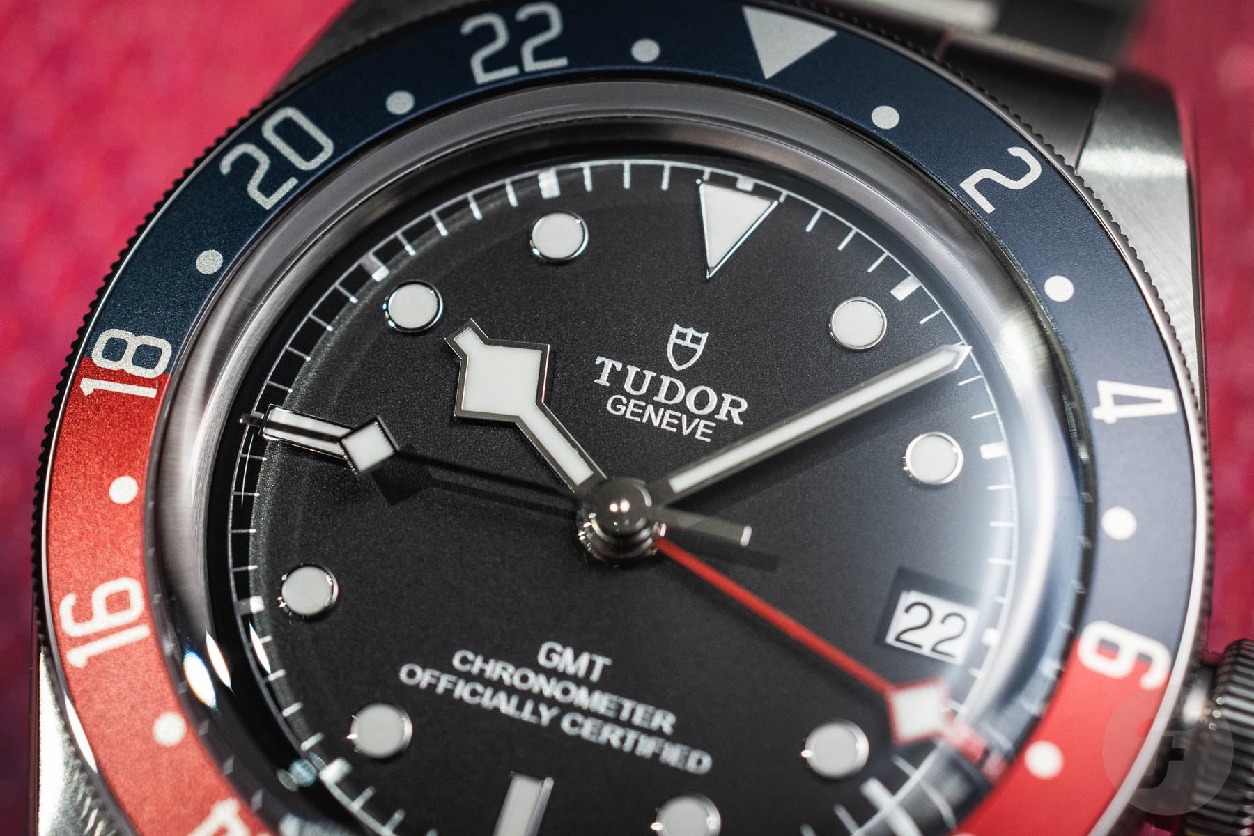 Tudor Black Bay GMT up close