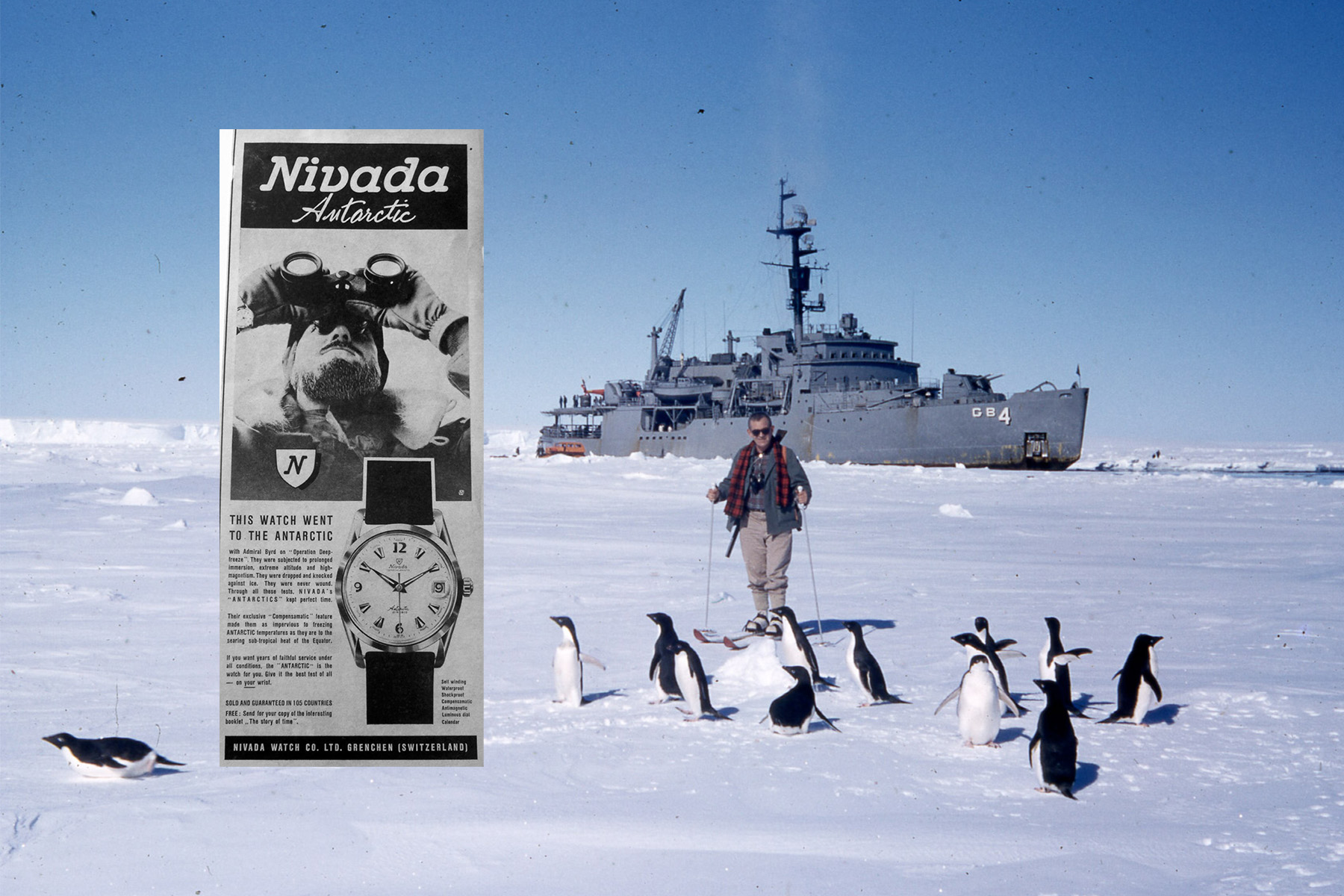 Living With The Penguins: Operation Deep Freeze And The Nivada Grenchen Antarctic