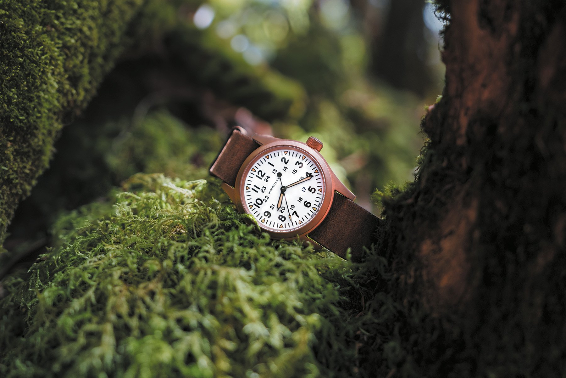 white-dial Hamilton Khaki Field Mechanical Bronze in mossy forest