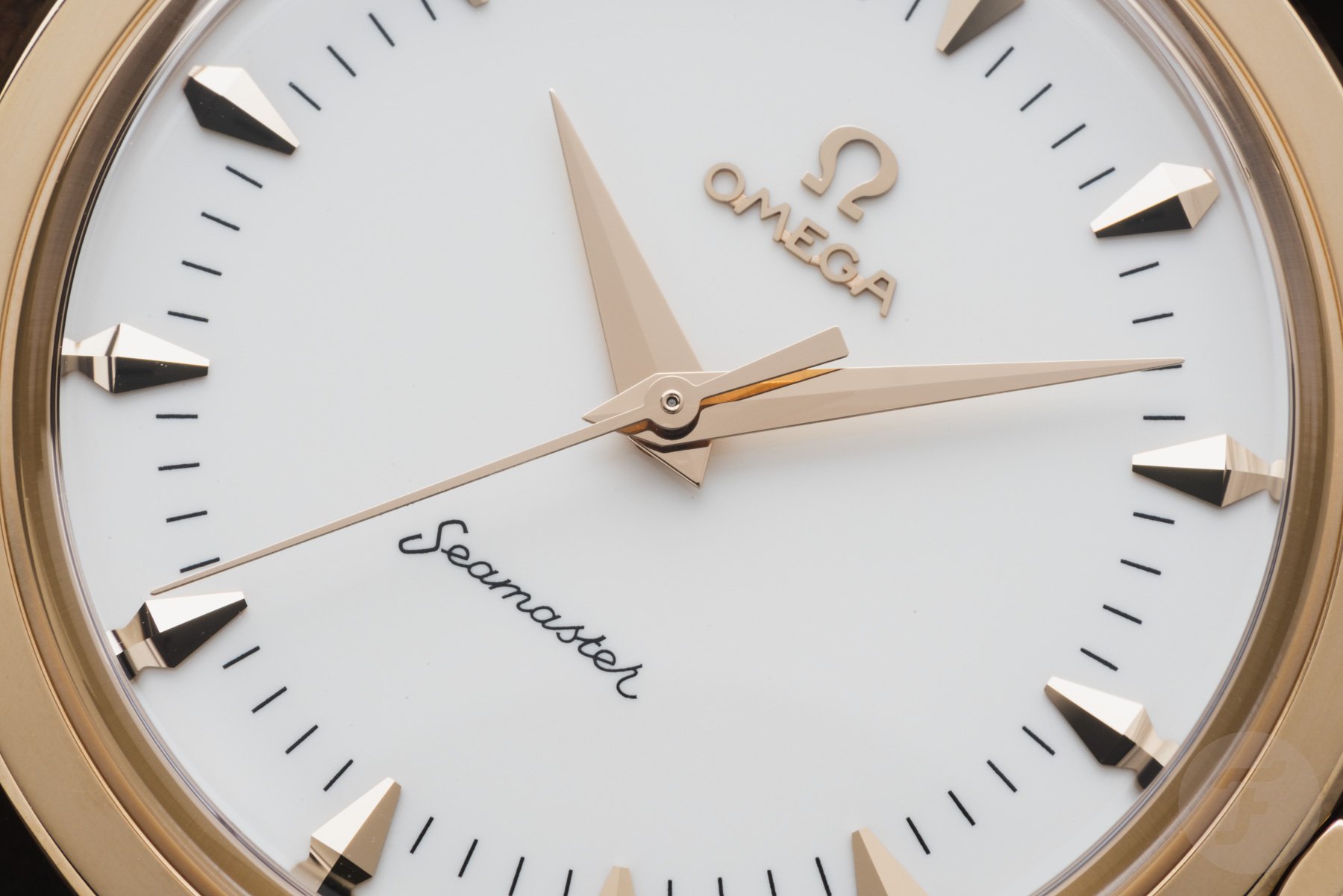 Omega Seamaster 37mm Milano Cortina 2026 dial up close