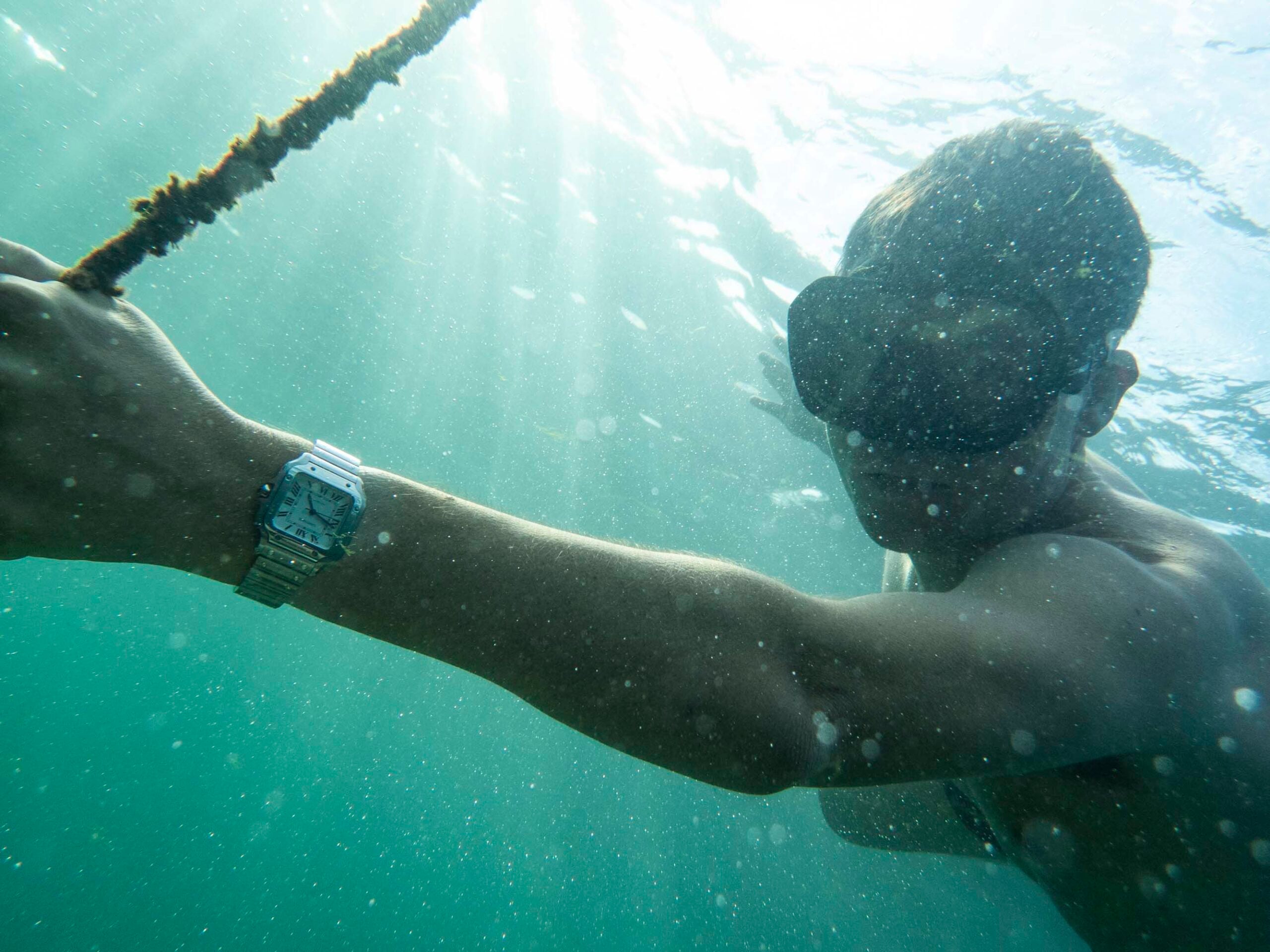 Cartier Santos on Henry's wrist underwater