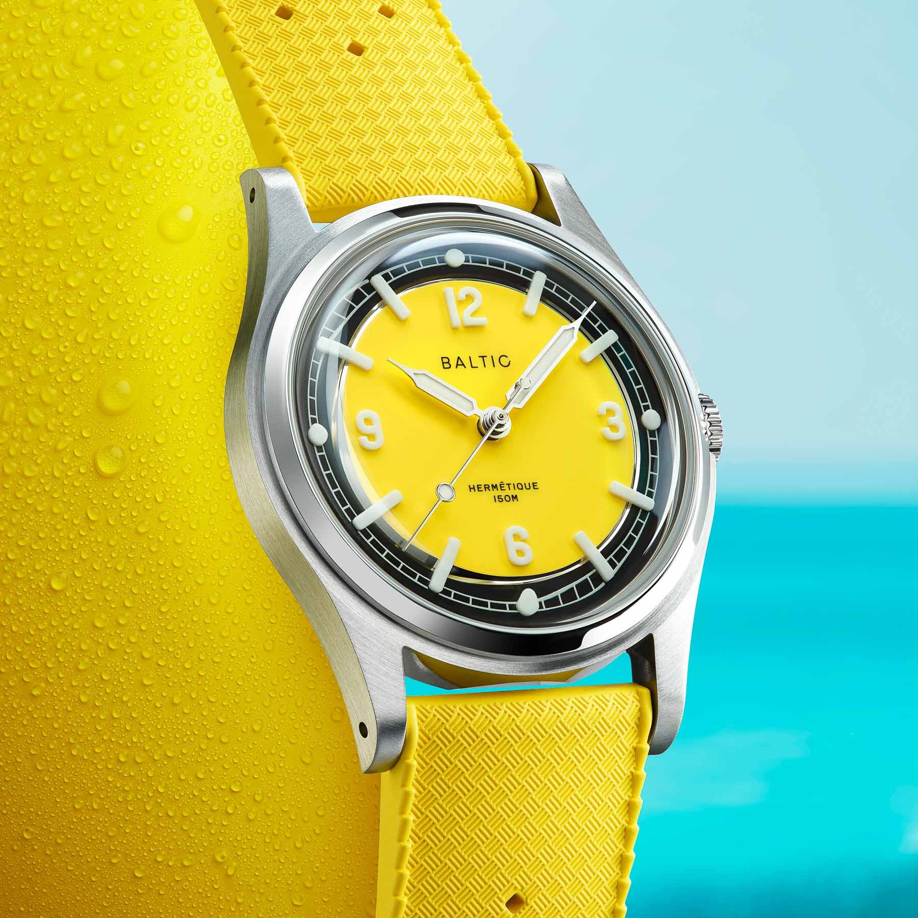 Yellow Baltotic Hermetique Summer leaning and upright