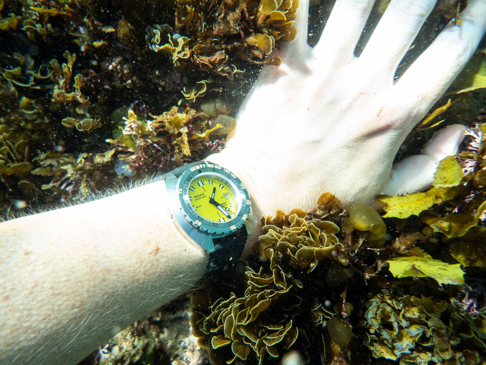 Doxa Sub 300T Divingstar on wrist underwater