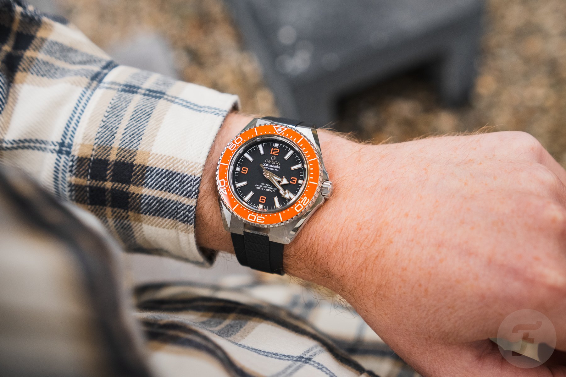 recent releases — Omega Seamaster Planet Ocean 600M ref. 217.32.42.21.01.003 on wrist