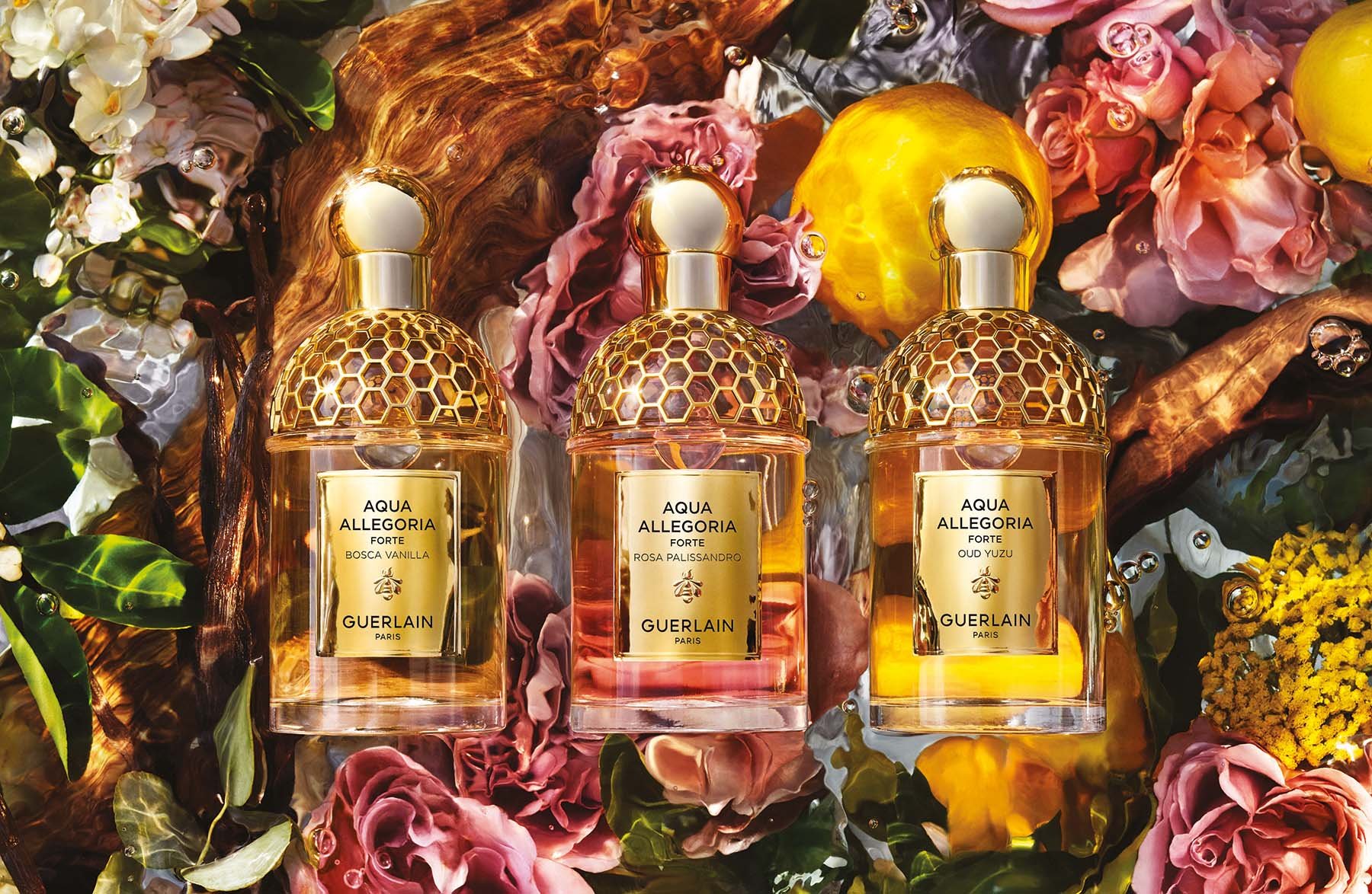 Guerlain Aqua Allegoria fragrances