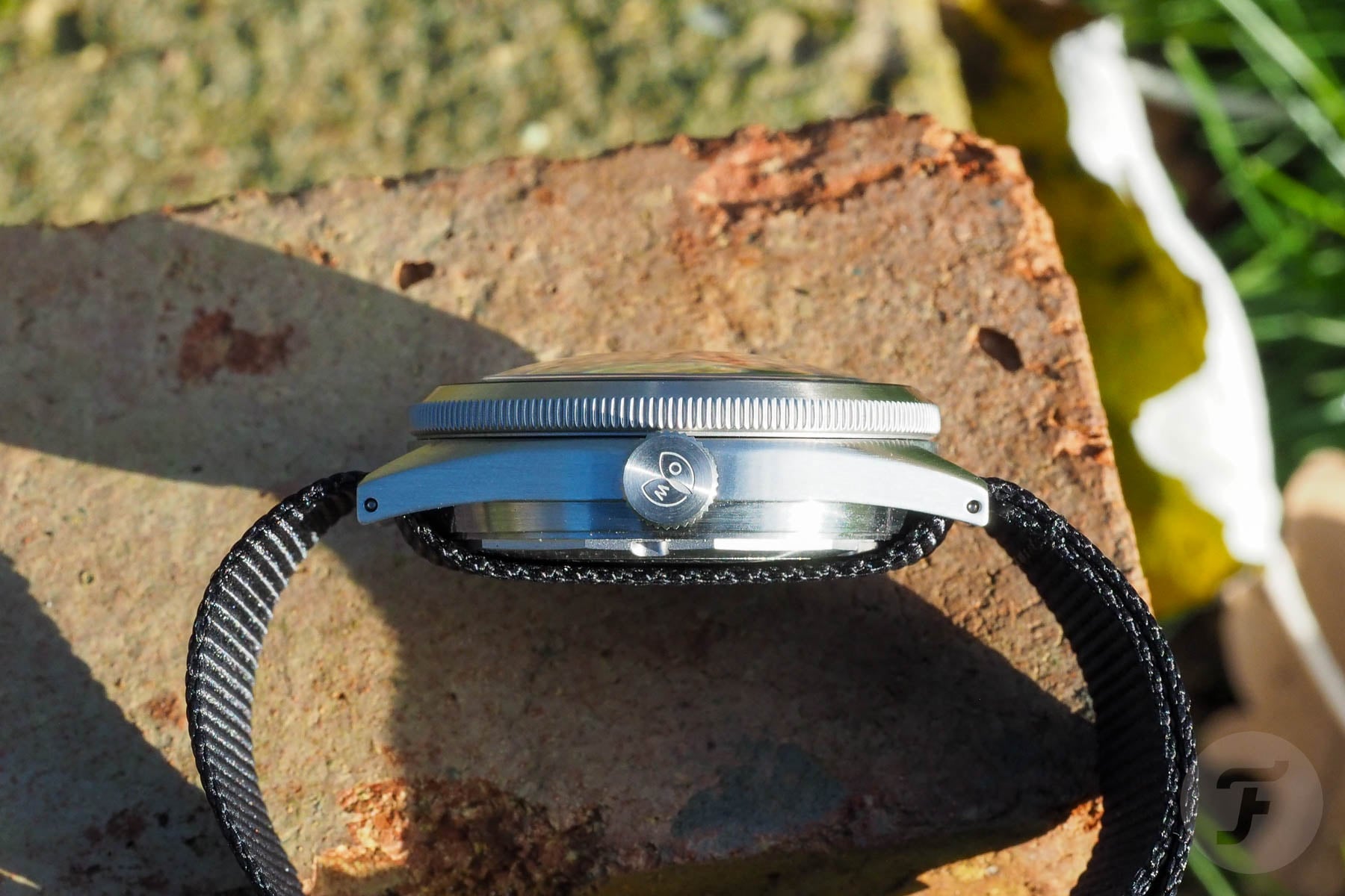 Ollech & Wajs OW C-1000 Y case profile, crown side