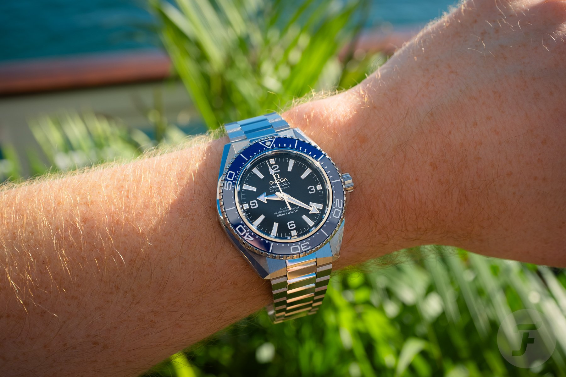 best dive watches of 2025 — Omega Seamaster Planet Ocran 600M ref. 217.30.42.21.01.002 wrist shot