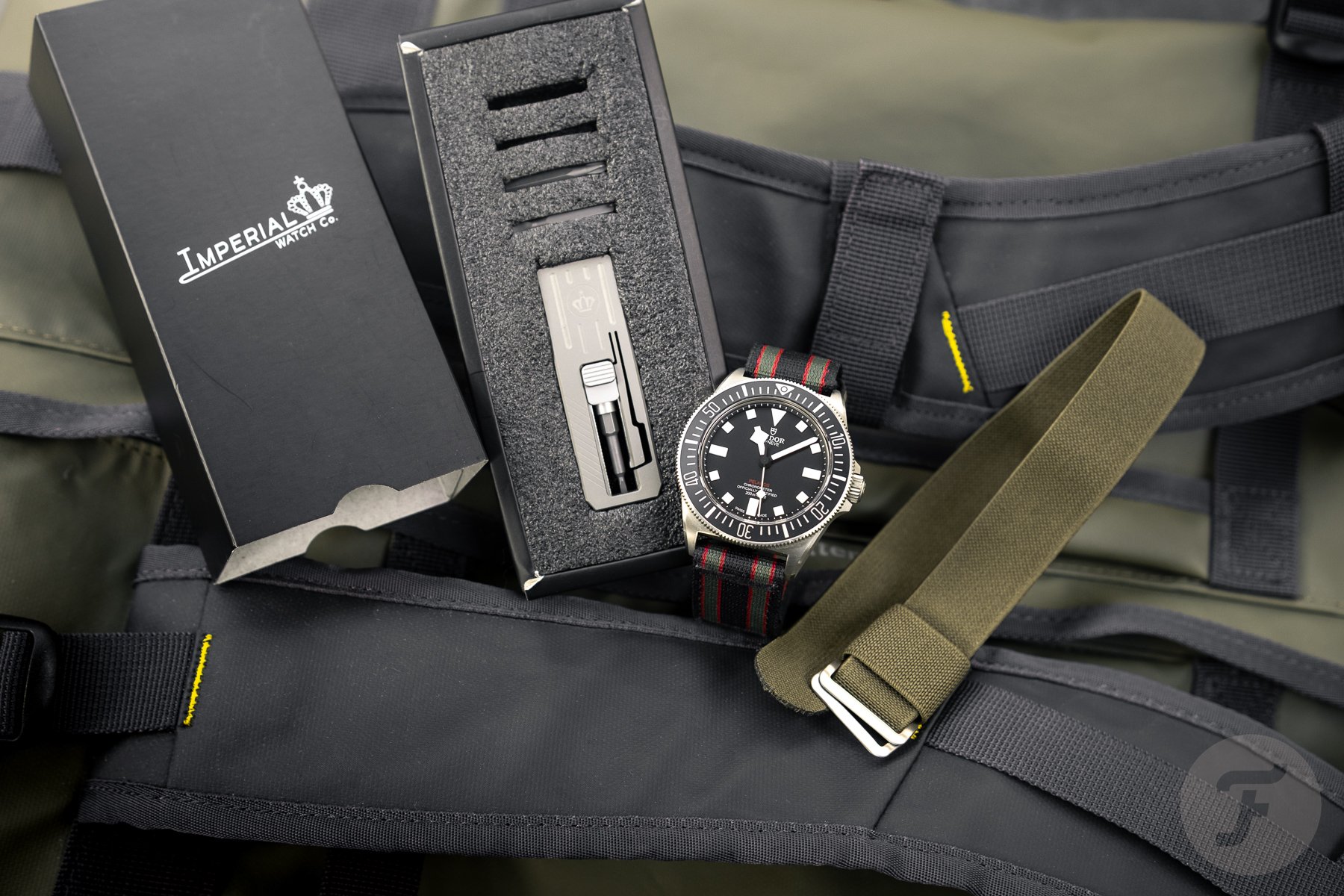 Holiday gift guide nacho's picks