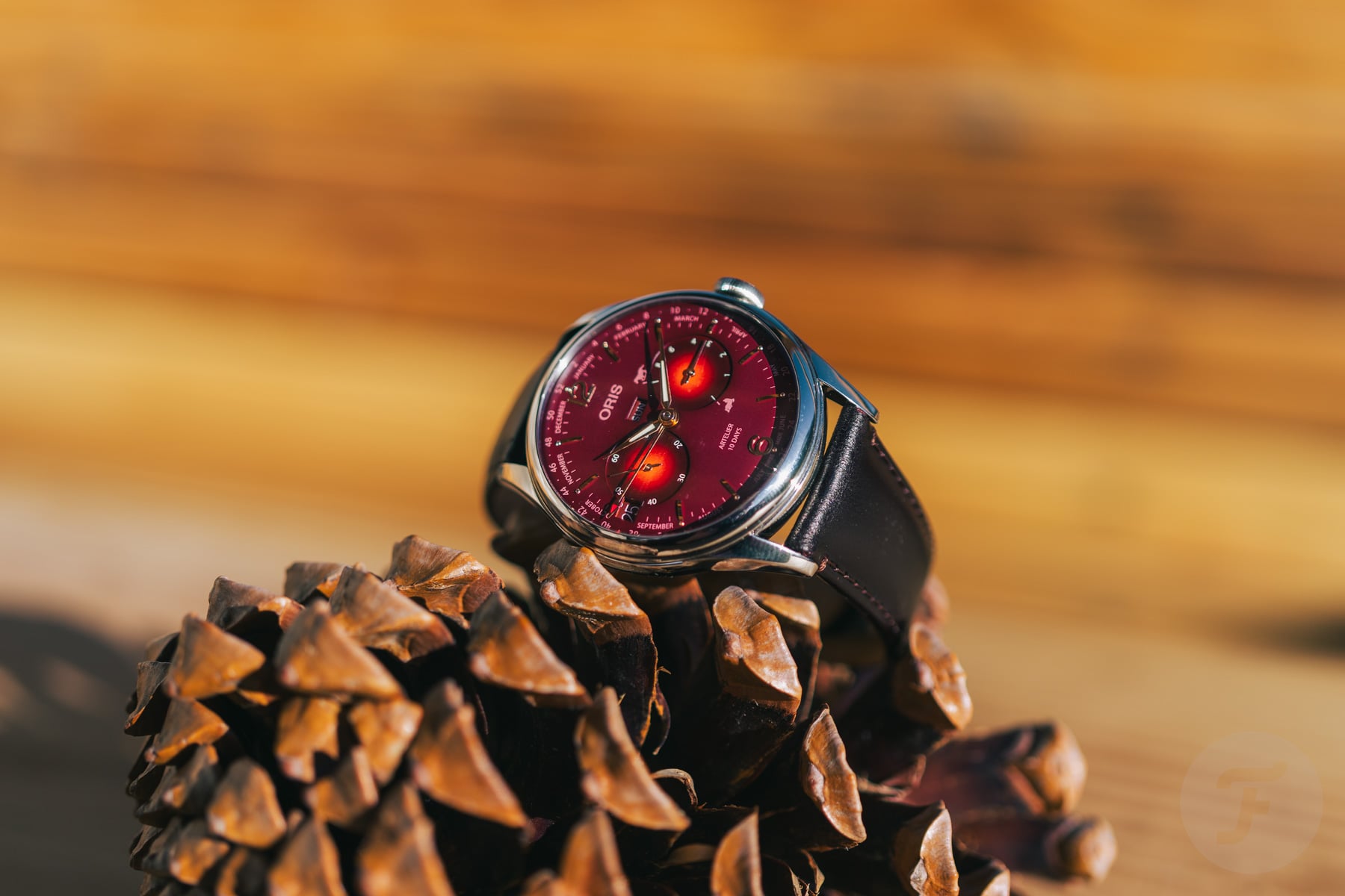 Oris Artelier Year Of The Horse Limited Edition on pine cone
