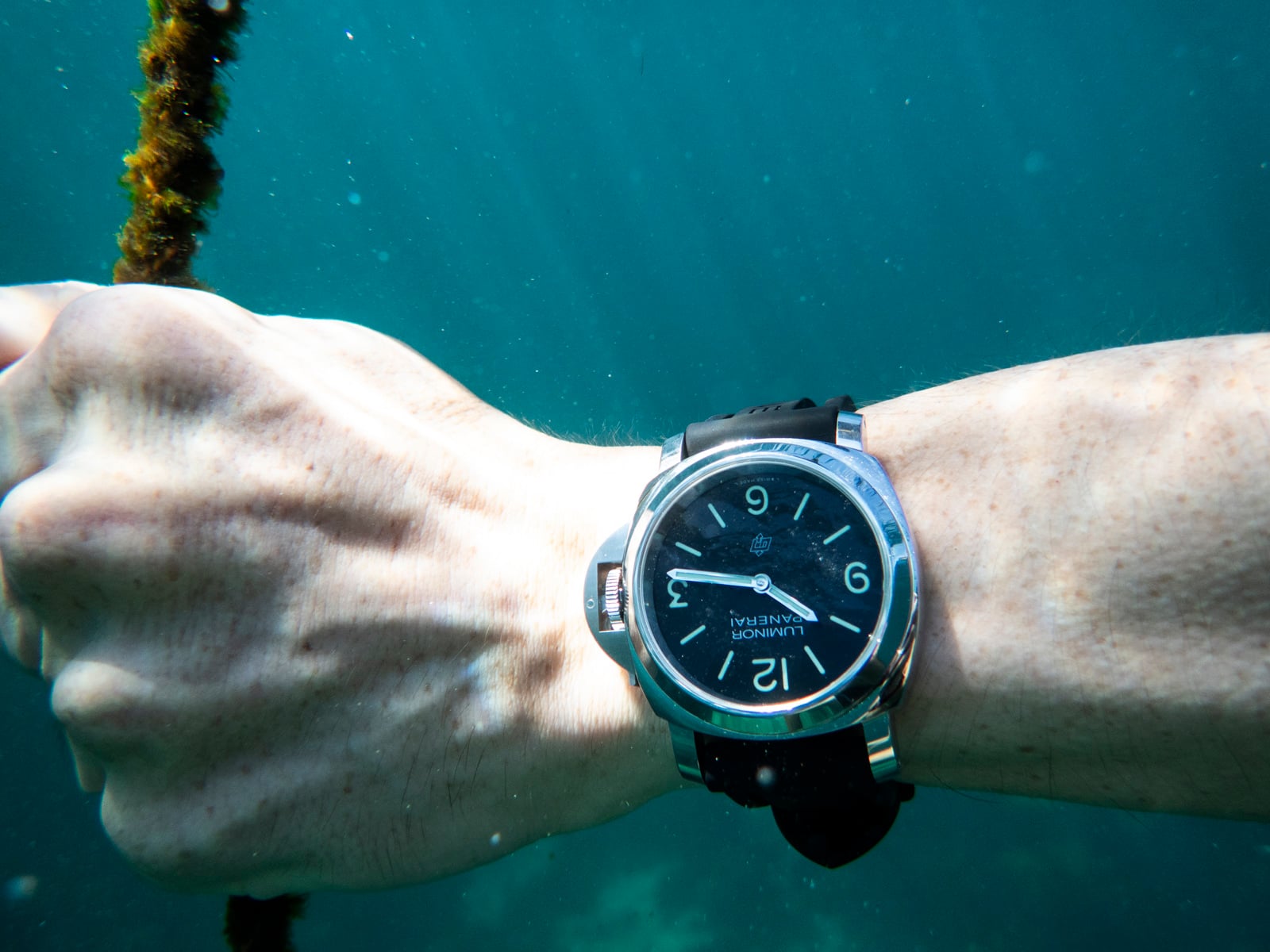 Panerai Luminor Base Logo PAM01086 on wrist underwater