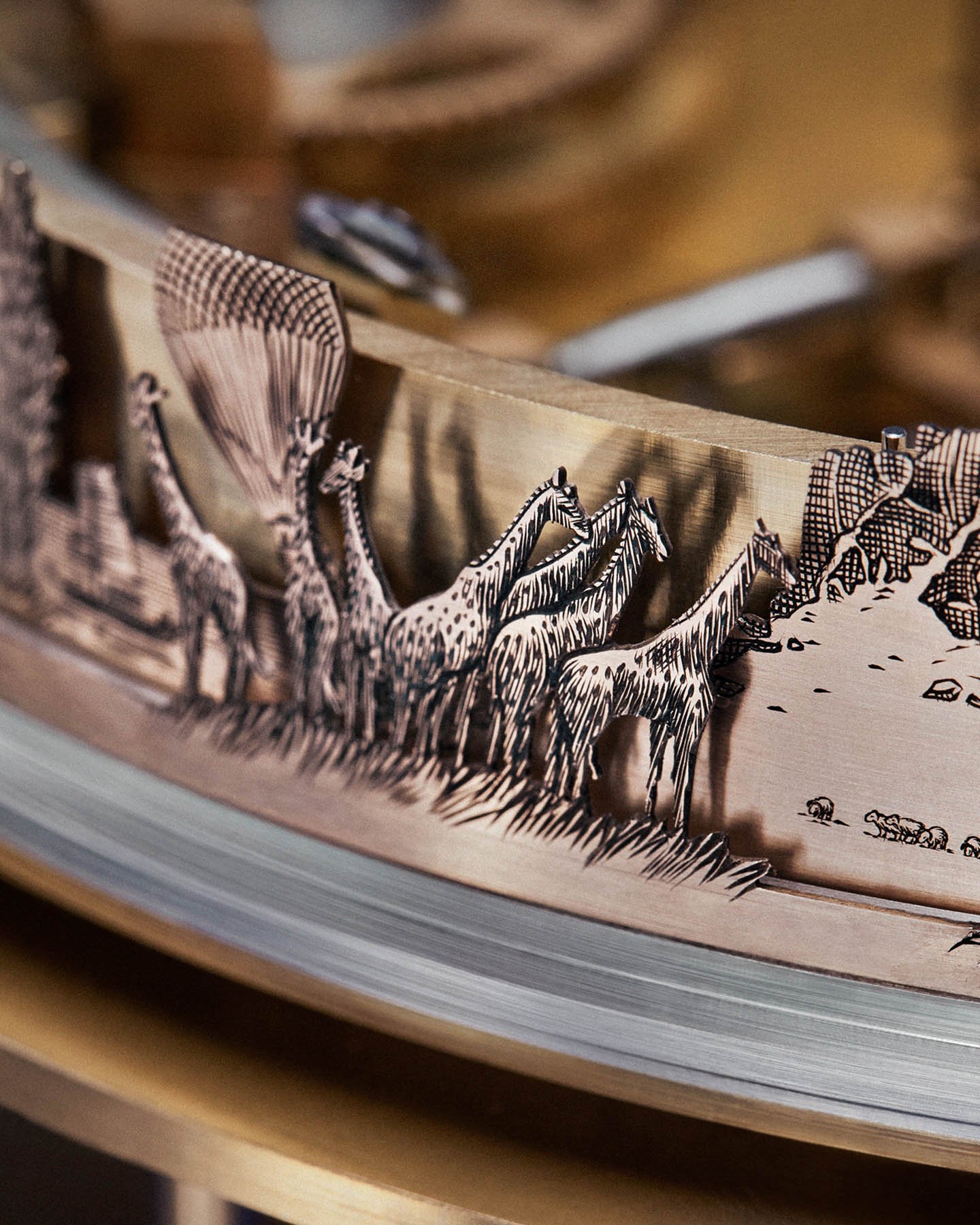 LVDB-03 Louis Varius