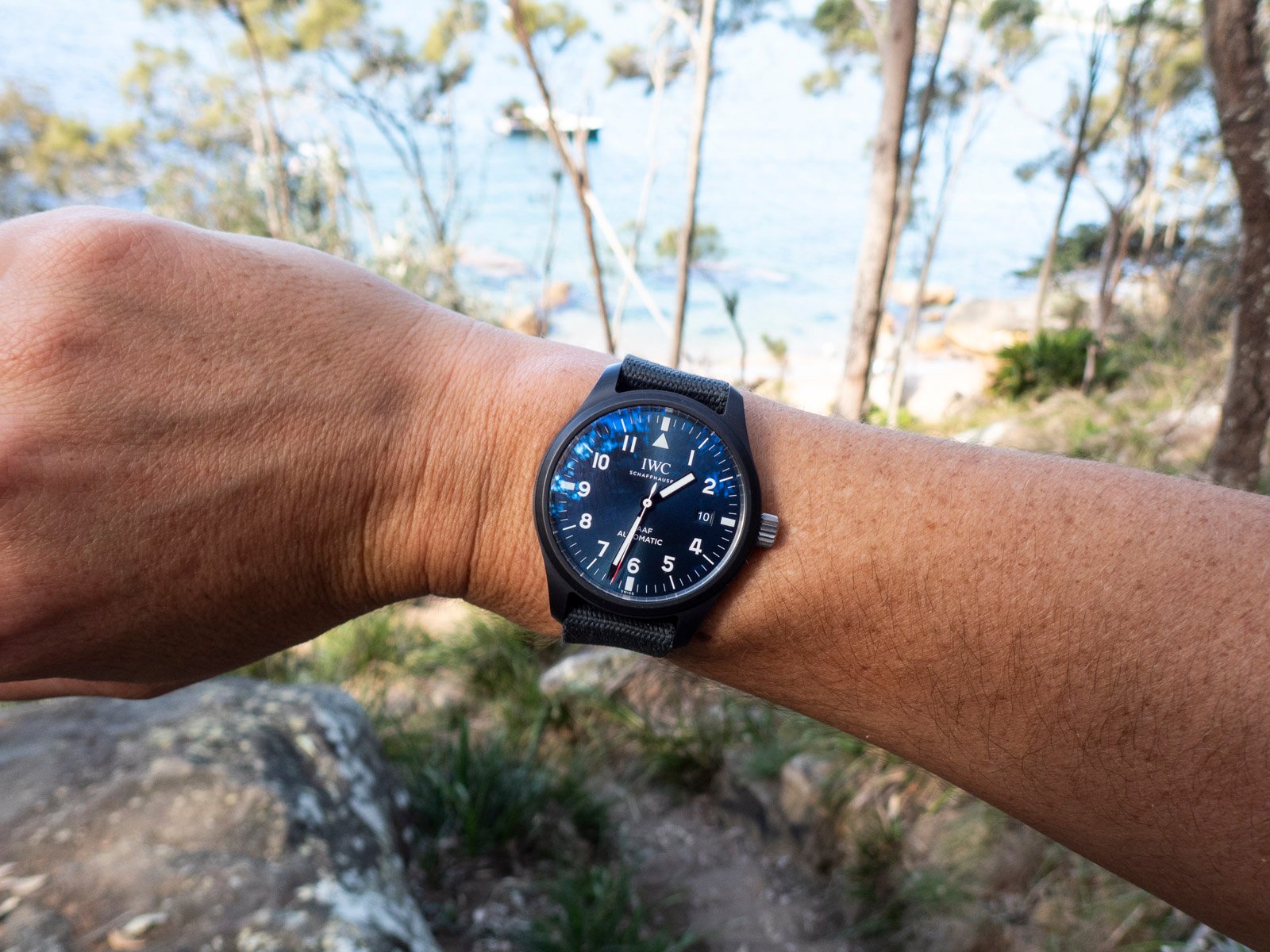 One Watch to Rule Them All: Choose Your Set‑and‑Forget Timepiece