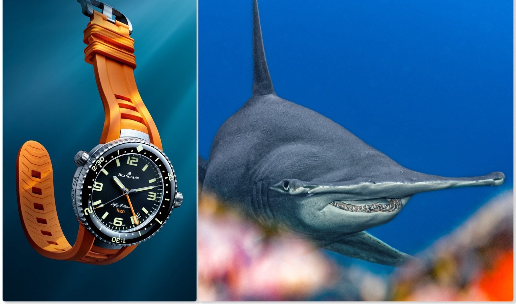 47mm Blancpain Fifty Fathoms Tech and hammerhead shark collage