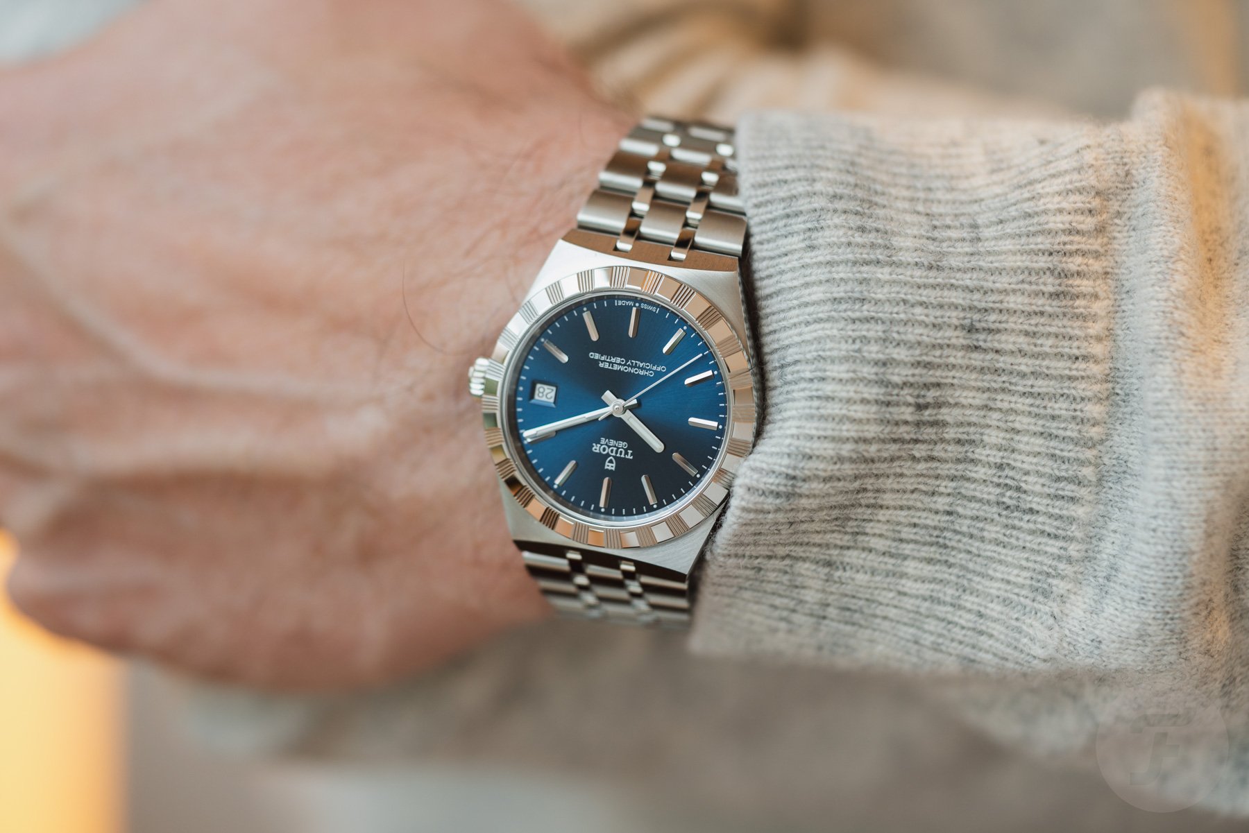 36mm steel Tudor Royal with blue dial on wrist