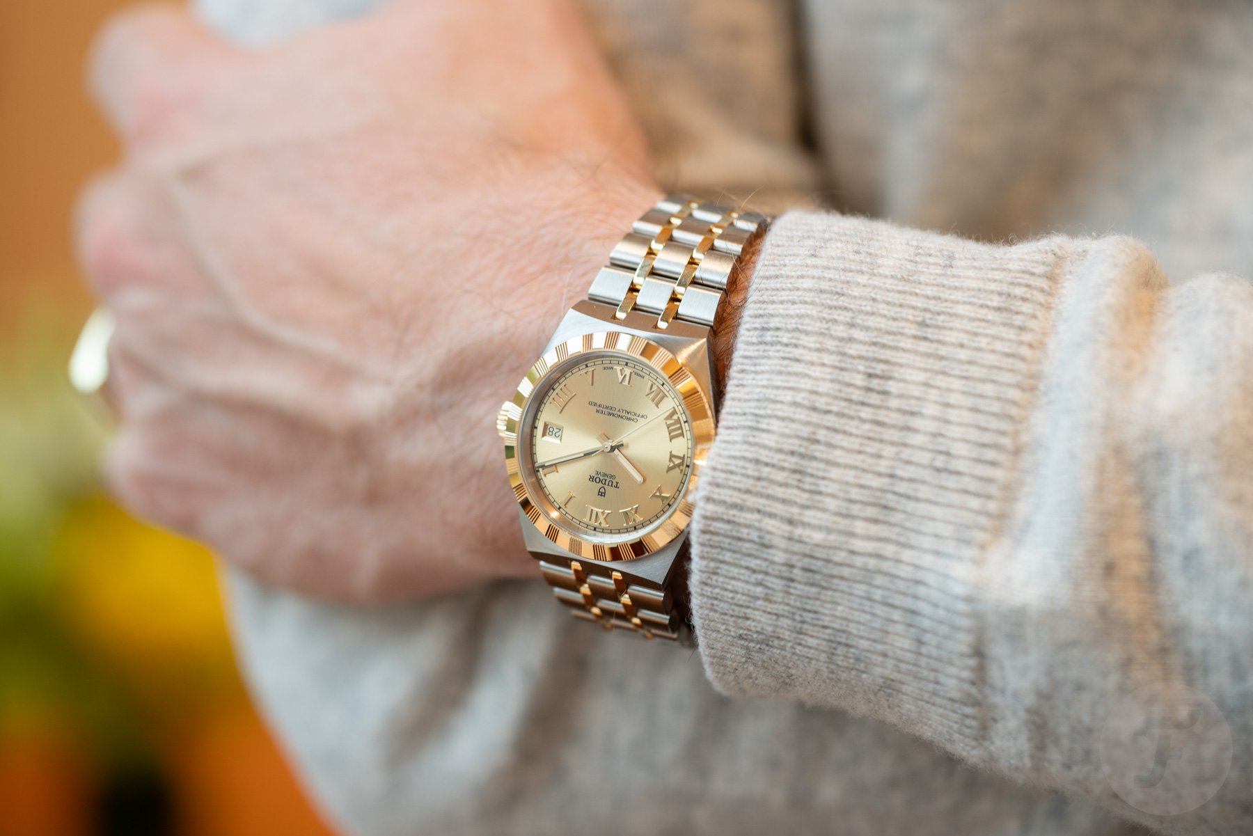 36mm two-tone Tudor Royal on wrist