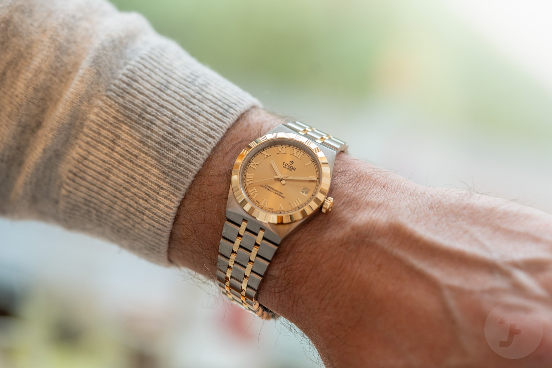 36mm two-tone Tudor Royal wrist shot