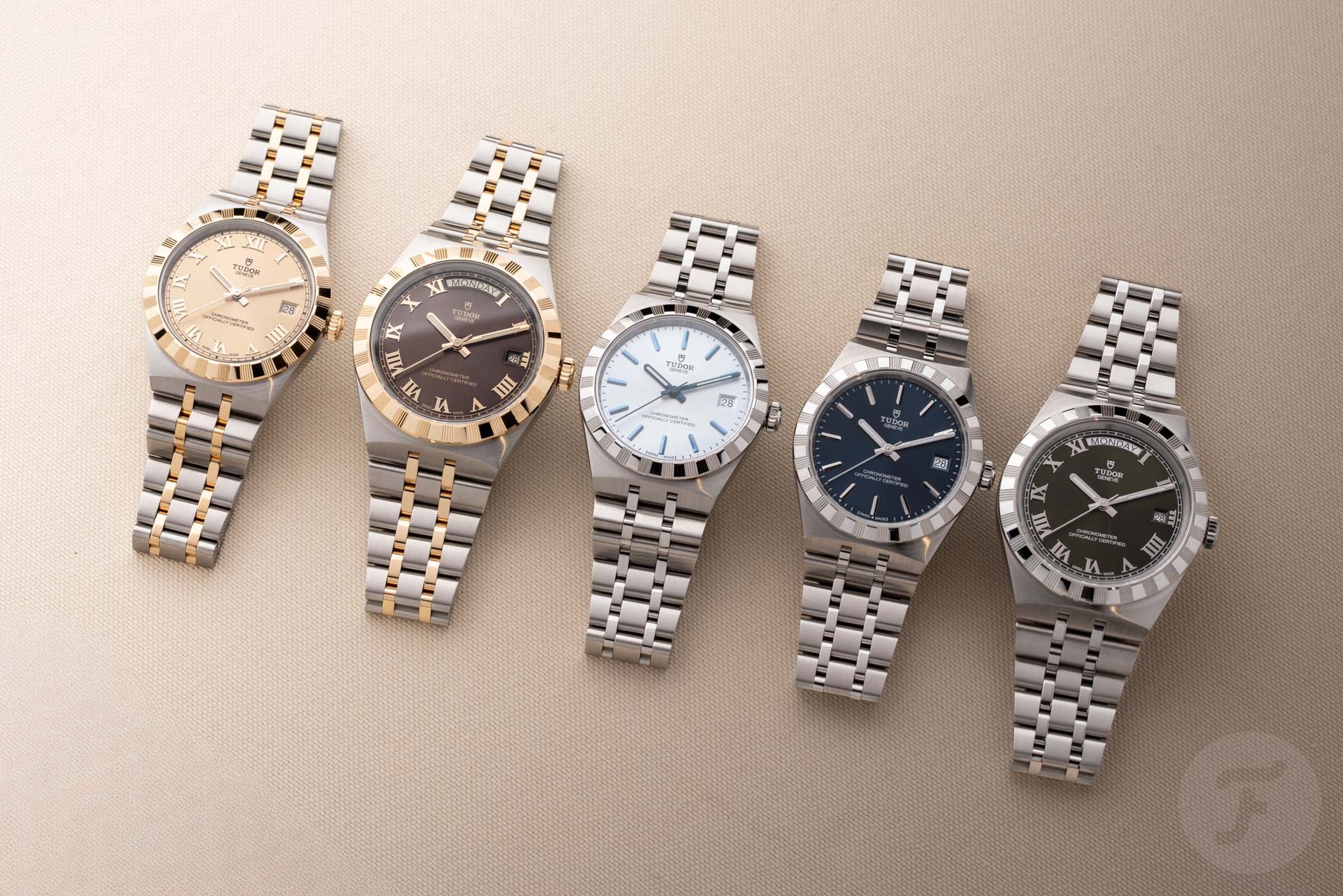 lineup of 36mm and 40mm Tudor Royal models, flat-lay