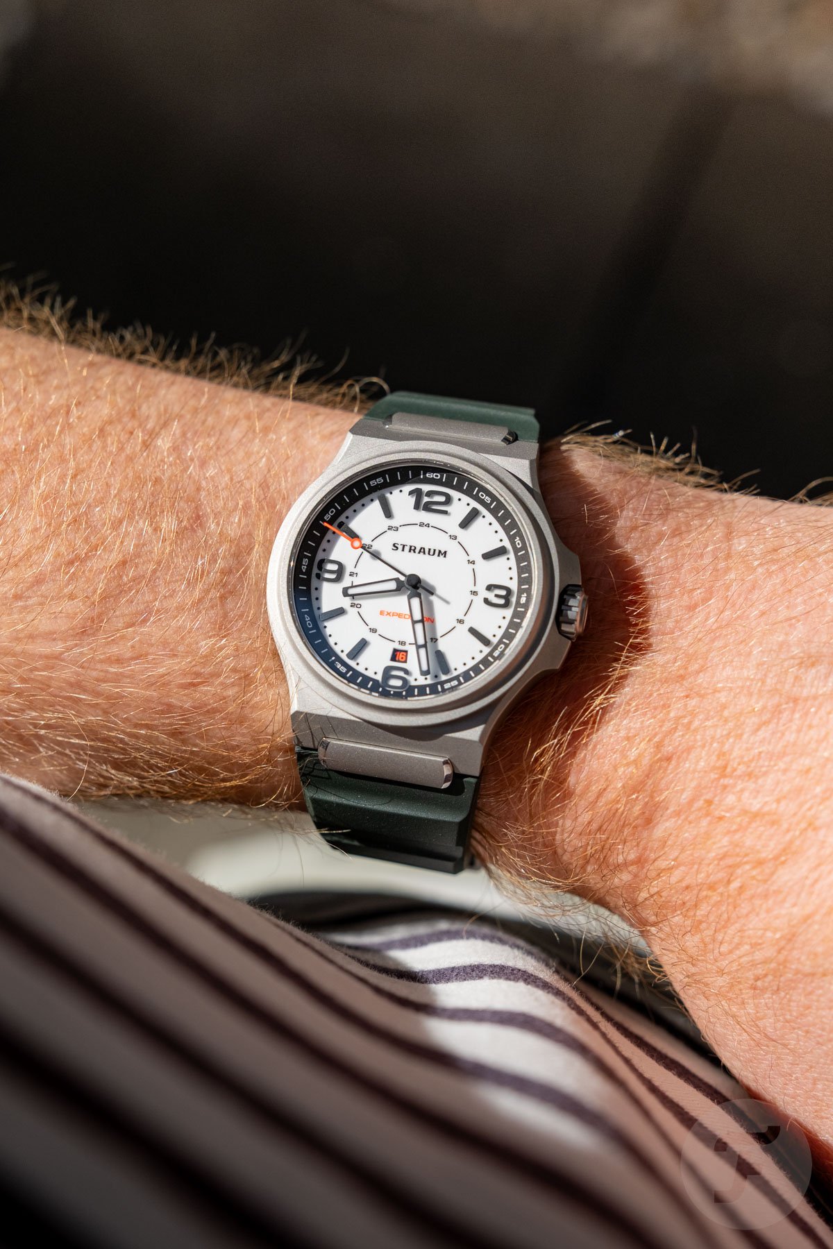 lume-dial Straum Expedition wrist shot