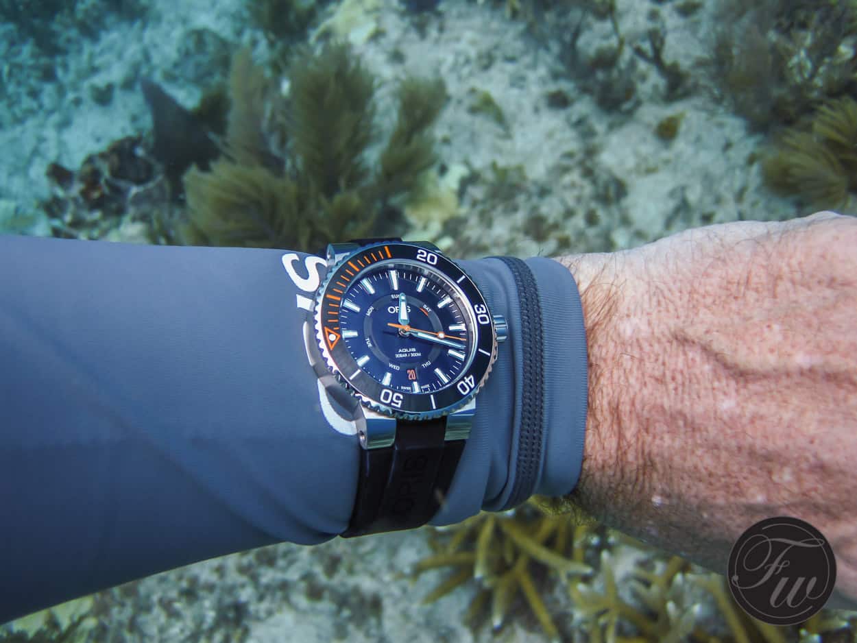 Oris Staghorn CRF