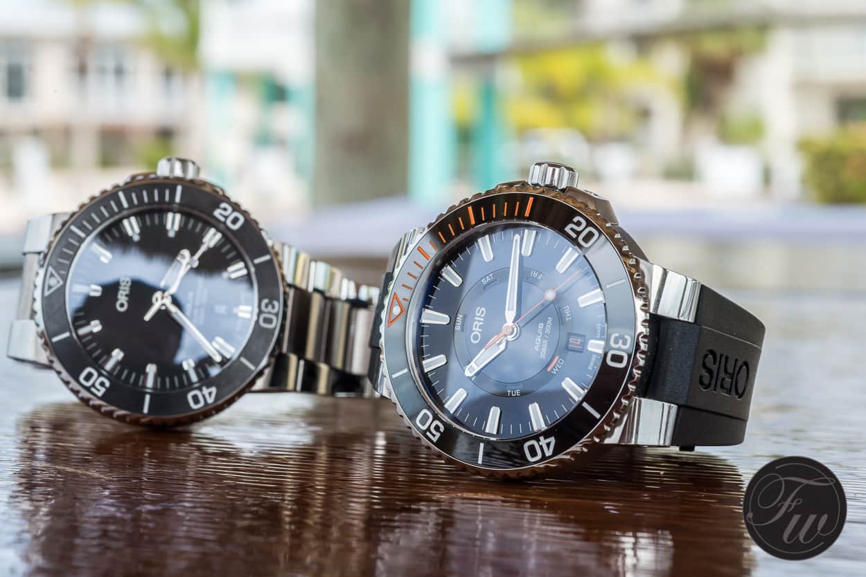 Oris Staghorn Restoration Oris Staghorn Restoration