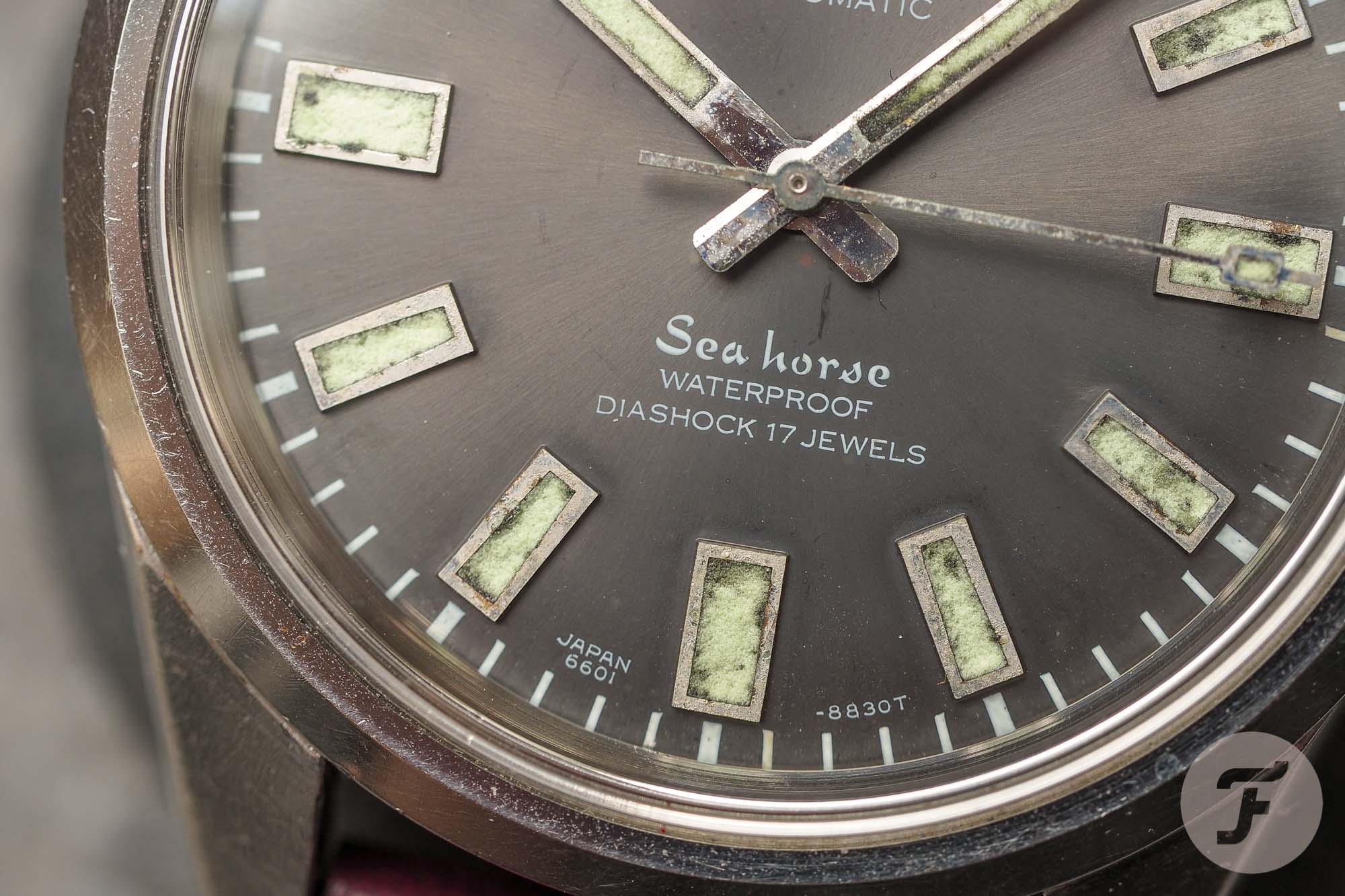 Seiko Seahorse 6601-8830 - A Rare, But Familiar Dial