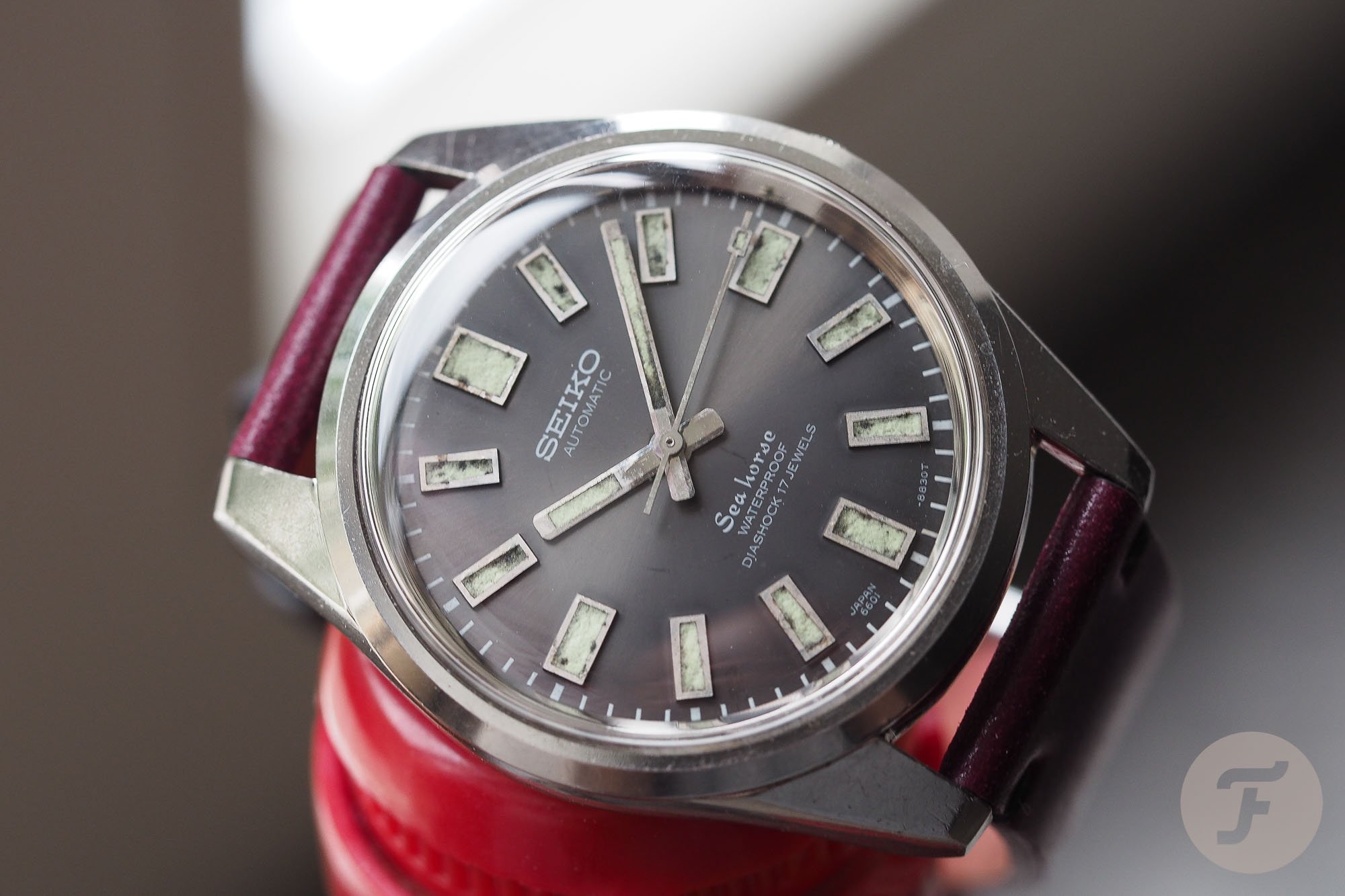 Seiko Seahorse 6601-8830 - A Rare, But Familiar Dial